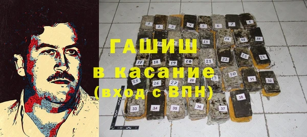 гидра Майский