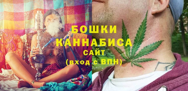 гидра Майский